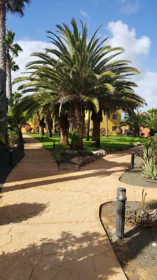 Appartamento Spagnolo Oasis Tamarindo Corralejo Ngoại thất bức ảnh