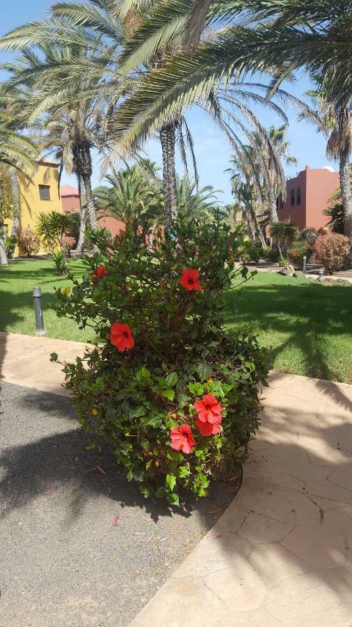 Appartamento Spagnolo Oasis Tamarindo Corralejo Ngoại thất bức ảnh